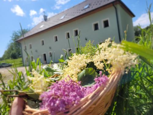 Rozmberk nad Vltavou Casa | Penzion U Fořta