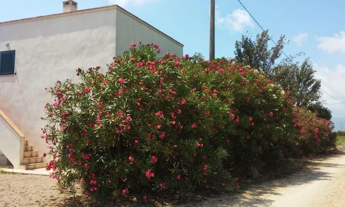 Amposta Casa | Pequeña casa rural en el centro del Delta del Ebro