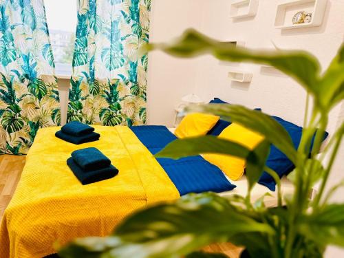 Swiebodzice Apartamento | Perła Doliny Książa