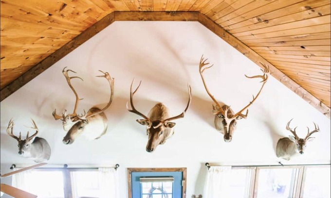 Searcy Cabina | Perfect Cabin 5 minutes to Blanchard Springs Nat. Park