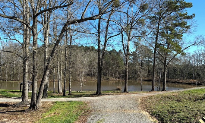 Calhoun Cabina | Perfect cabin with a pond! Peaceful place to fish, kayak or enjoy nature.