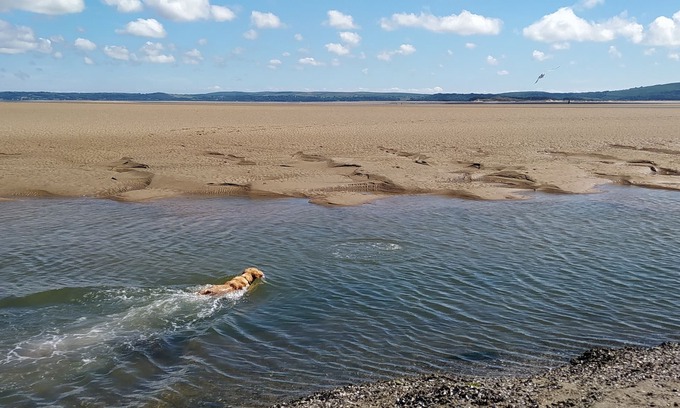 Kidwelly Cabaña | Perfect couples retreat, dog-friendly, explore the welsh coast.