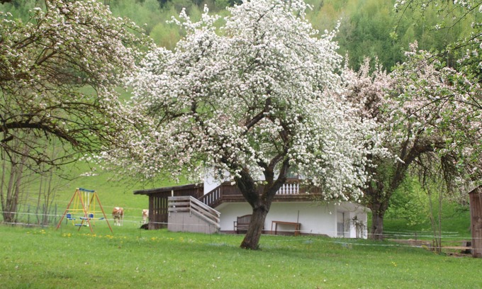Helfenstein Chalet De Esquí | Casa de naturaleza, una casa de lujo en una zona muy idílica