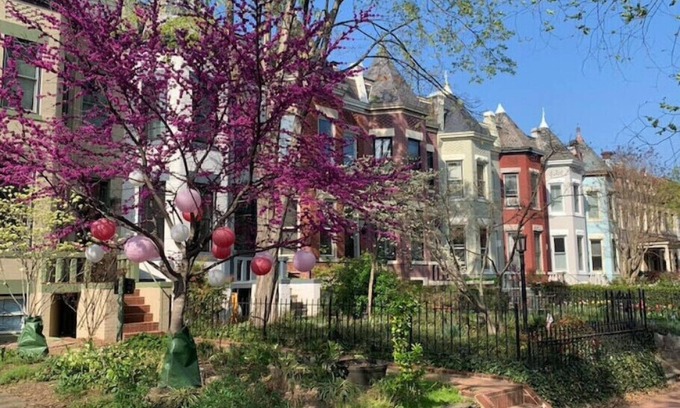 Northeast Apartamento | Perfect Location in Capitol Hill