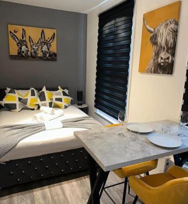 Hillrise Apartamento | Perfect Studio Stay - Close to Underground