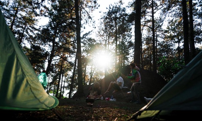 Walnut Shade Otro | Persimmon Grove Retreat and Camp