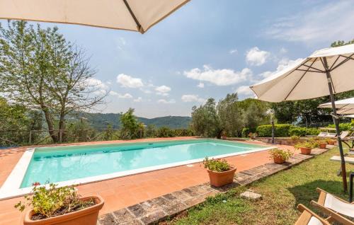Monte Santa Maria Tiberina Apartamento | Pet Friendly Apartment