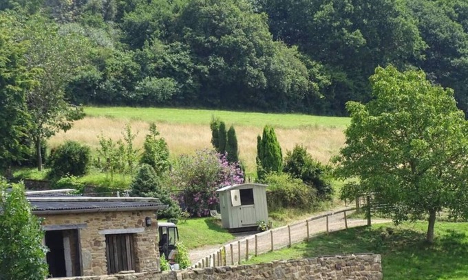 Longhope Cabina | Pet Friendly - 2 Guests - Shepherds Hut