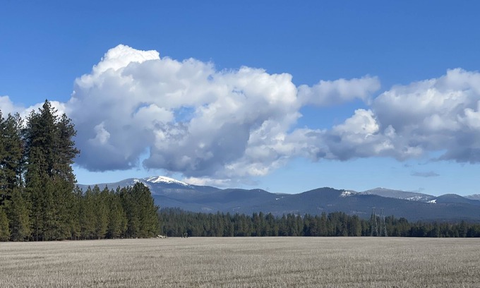 Colbert Casa | (pet friendly) Beautiful View