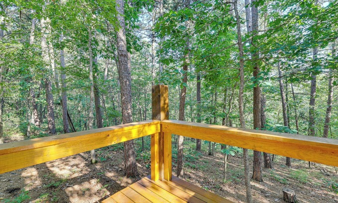 Eureka Springs Cabaña | Pet-friendly Eureka Springs Rental w/ Private Deck