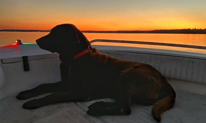 Alabama Gulf Coast Casa | Pet Friendly house on Fish River, private pier with kayaks