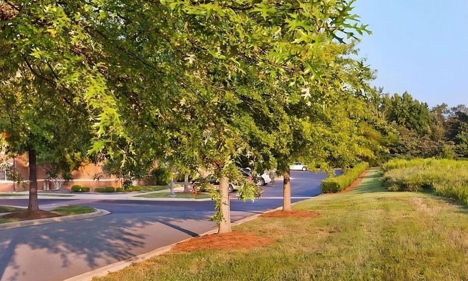 Newell Hotel | Pet Friendly! Lots of Greenways nearby to walk the dogs!