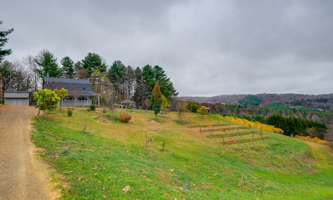 Pilot Apartamento | Pet-Friendly Pilot Studio w/ Vineyard Views!