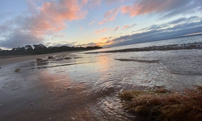 Phillip Island Cabina | Pet friendly Tiny bungalow - 5 minute walk to the beach!