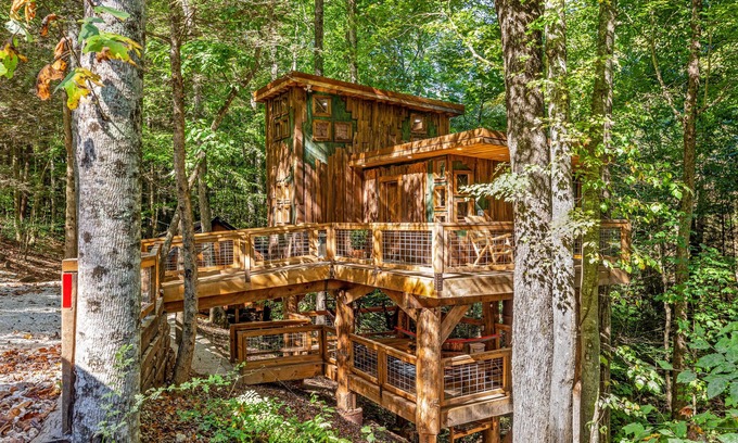 Rogers Cabina | Pet-Friendly Treehouse - Amazonia - an exclusive experience in Red River Gorge, Kentucky!