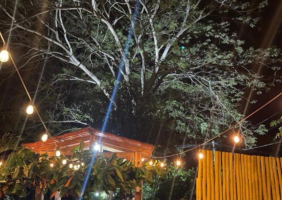 Potrero Apartamento | Pet Friendly - WFH Beach House