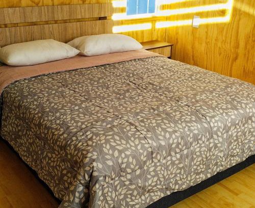 Valdivia Apartamento | Petrohue I