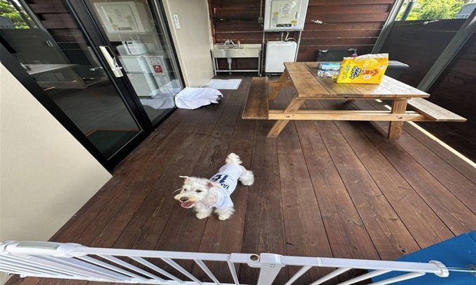 Taketomi-jima Taketomi-cho Cabaña | Pets allowed Stay with your dog Cottage with wo / Ishigaki Okinawa