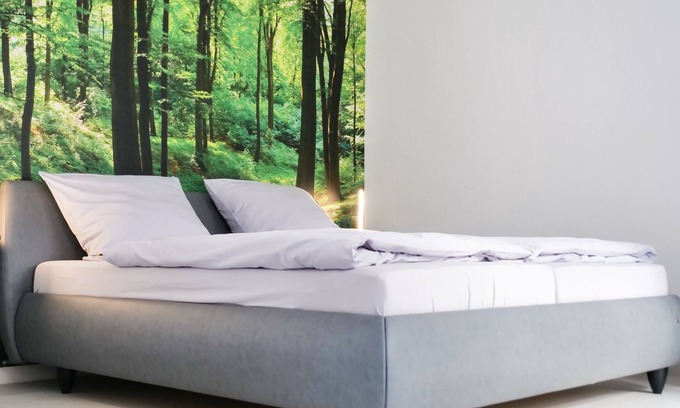 Weisenheim am Berg Apartamento | Pfalzzeit - Der Wald