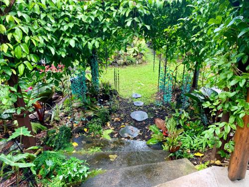 Kehena Casa | Phoenix Garden