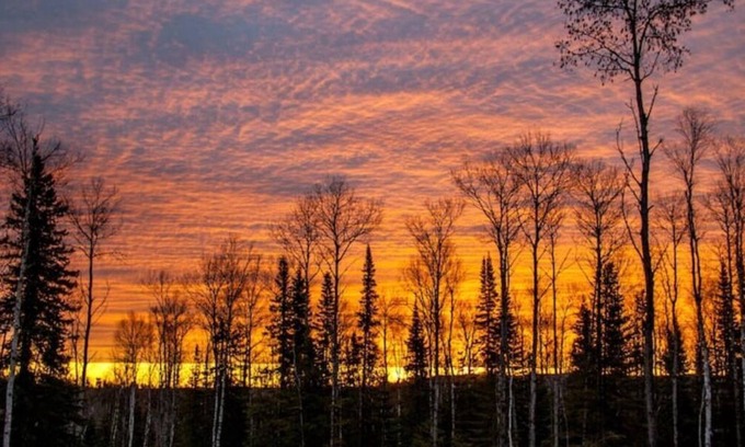 Hovland Cabina | Phoenix Rising Off-Grid Amish crafted log cabin near the BWCA & SHT - Sled Dogs!