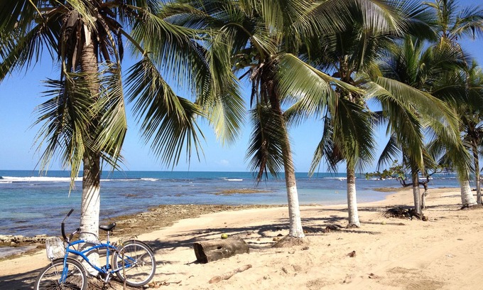 Cocles Cama Y Desayuno | Physis Caribbean Bed & Breakfast