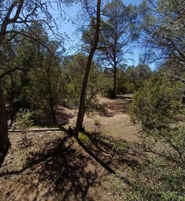 Municipio de Tecate Otro | Piñoneras del cóndor