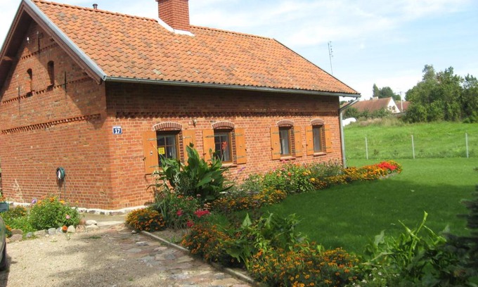 Pieczarki Cabina | Pieczarki