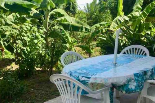 Sainte-Anne Apartamento | Pied-à-terre avec grand jardin, au Calme, 10min des plages, Parking gratuit