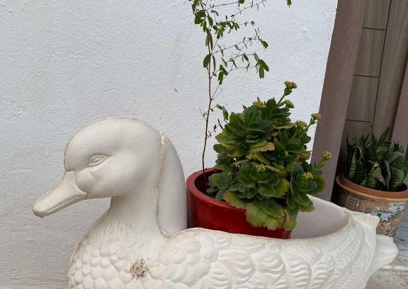 Hergla Apartamento | Pieds dans l'eau : S+2, Hergla, Sousse