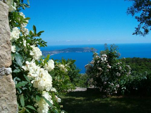 Marina di Pisciotta Apartamento | Pietra Fiorita