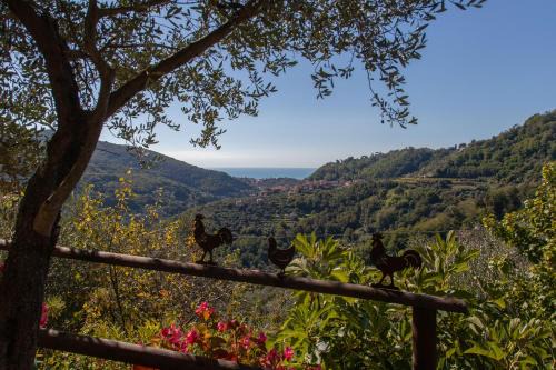 Trebiano Magra Casa | Pietrantica - Affittacamere con giardino NUOVA APERTURA a Trebiano -CITR