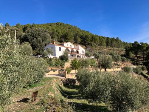 Arguellite Casa | Pilar de la Sima casa rural Arguellite Yeste