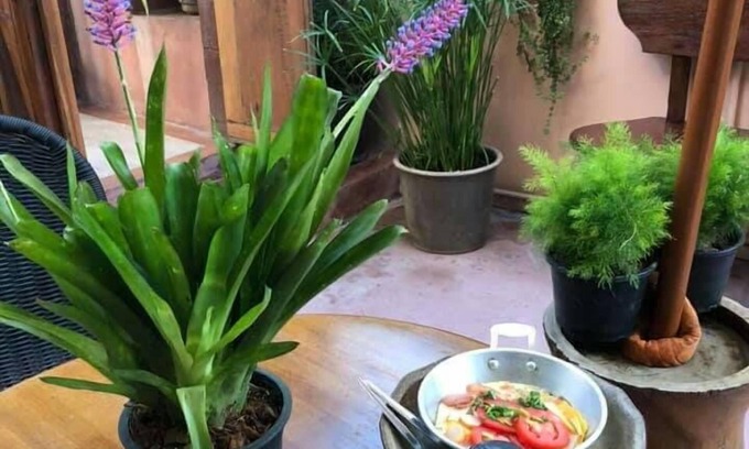 Bangkok Casa | Pimthong Place