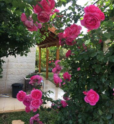 Rosh Pinna Cabina | Pinat Nofesh