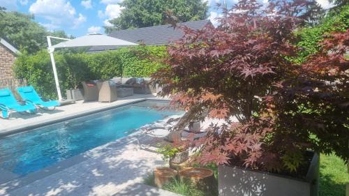 Sart-lez-Spa Apartamento | PINE COTTAGE- 5 minutes Francorchamps - charme -piscine-calme-jardin