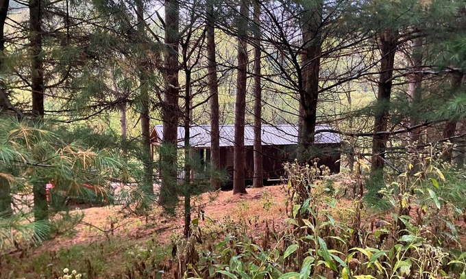 Killbuck Cabina | Pine Grove Cabin 30 acres of woods, meadows, pond and creek near Amish Country