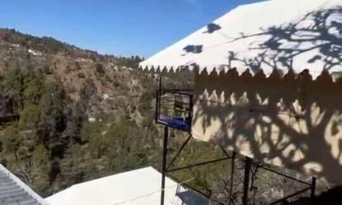 Kaul Cabaña | Pine pioneer the eco resort