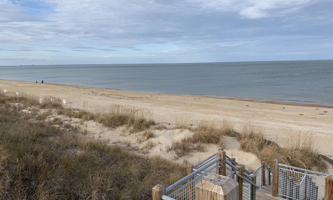 East Ocean View Cabaña | Pink Flamingo at the Beach