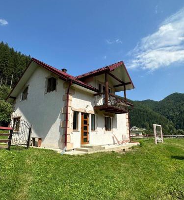 Dobrovelychkivka Apartamento | Pink House Karpaty