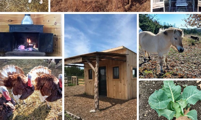 Wasola Cabina | Pioneer Cabin and Wood Fired Sauna on Our Sustainable Off Grid Educational Farm