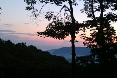 Pisgah Forest Casa | Pisgash Cottage