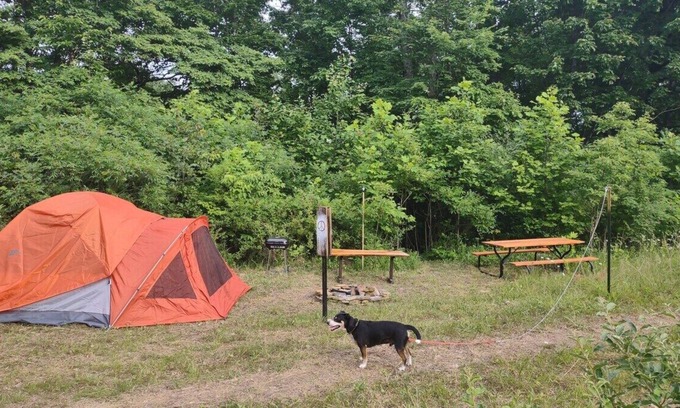 Laurelville Alquiler De RV | Pitch a Tent or Park a 20 ft or Smaller Camper at Camp Peace Hocking Hills