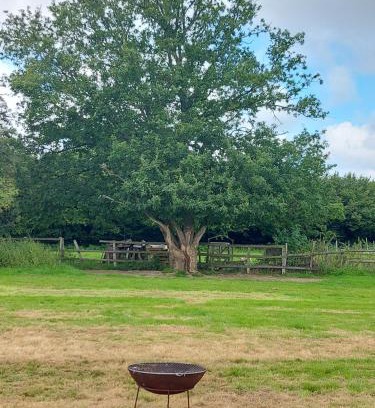 Wadhurst Otro | Pitch your own tent on camp field at Hopgarden Camping TN5 6QX - NO BEDS INCLUDED