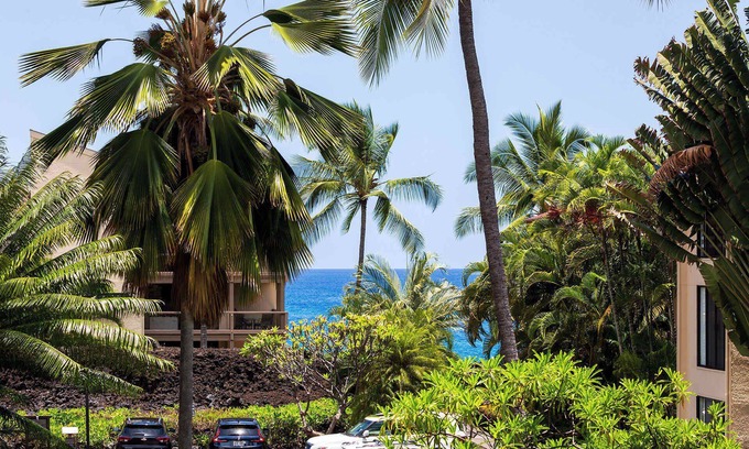 Kahaluu Bay Condominio | Plan Your Hawaii Vacay at Grace's Oasis!