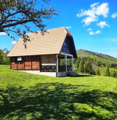Bajina Basta Casa | Planinska kuca Olga-Tara