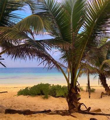 Zona Hotelera Otro | Playa Lakin-ha beachfront cabins