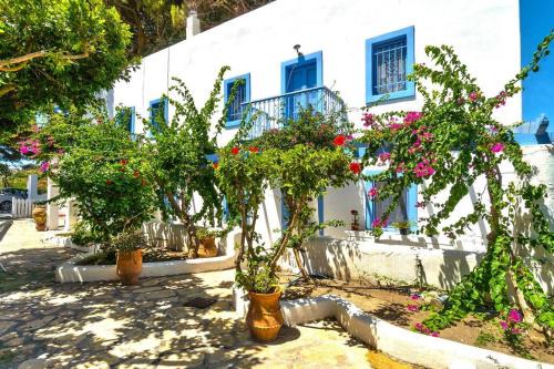 Alinda Villa | Pleiades Alinda Bay Leros