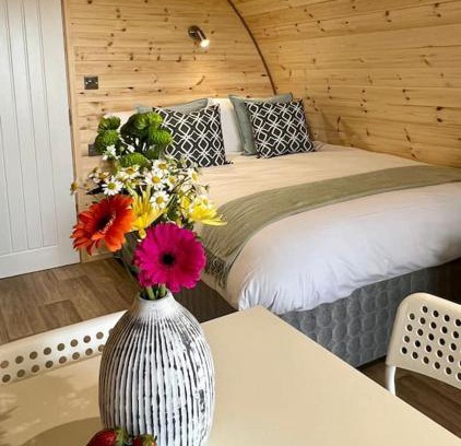 Easkey Chalet De Esquí | Plumgrove Pod Easkey