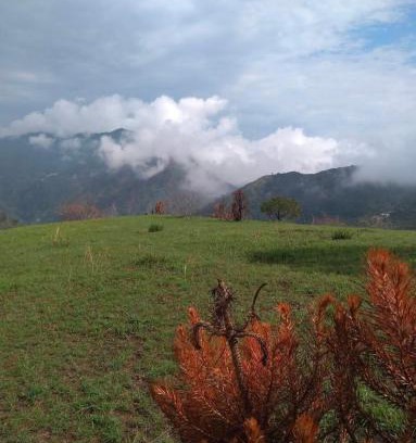 Rajgarh Complejo | Plumvelly cottage